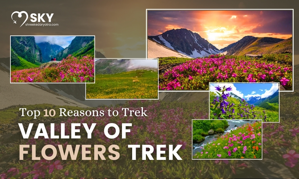 Top 10 Reasons to Do the Valley of Flowers Trek